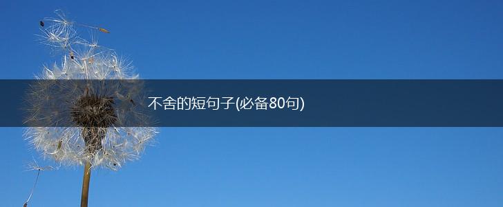 不舍的短句子(必备80句),第1张