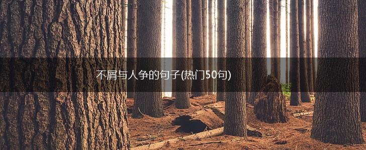 不屑与人争的句子(热门50句),第1张