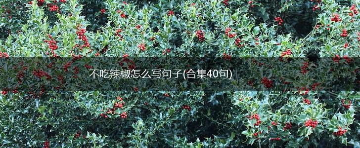 不吃辣椒怎么写句子(合集40句),第1张