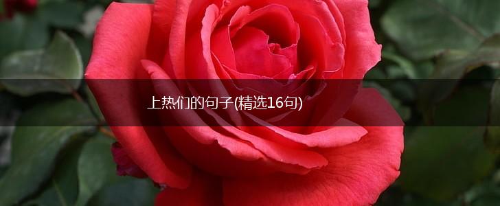 上热们的句子(精选16句),第1张