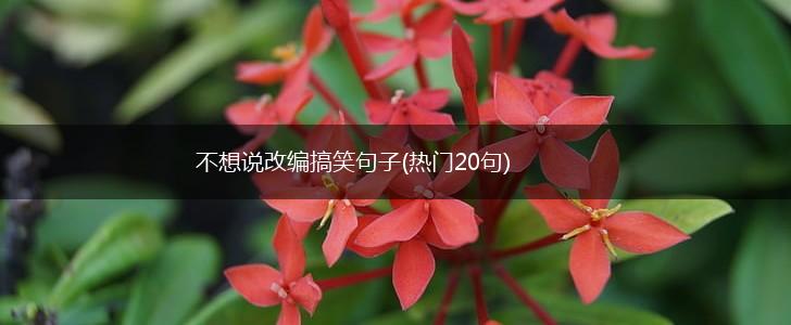 不想说改编搞笑句子(热门20句),第1张
