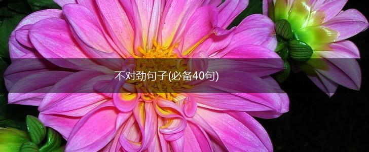 不对劲句子(必备40句),第1张