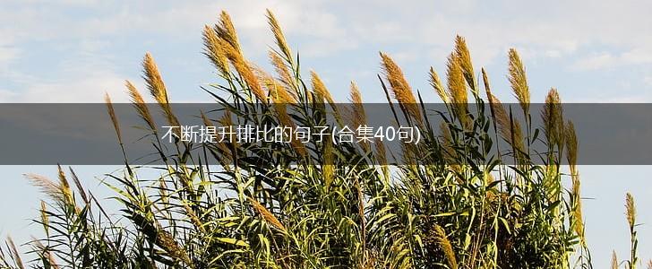 不断提升排比的句子(合集40句),第1张