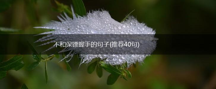 不和保镖握手的句子(推荐40句),第1张