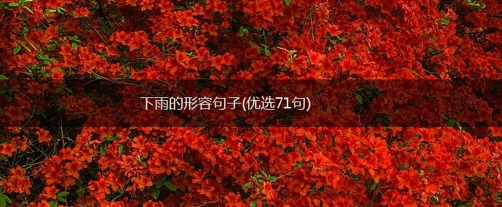 下雨的形容句子(优选71句),第1张