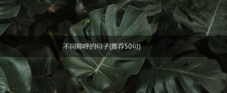 不同称呼的句子(推荐50句),第1张