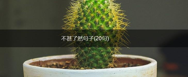 不甚了然句子(20句),第1张