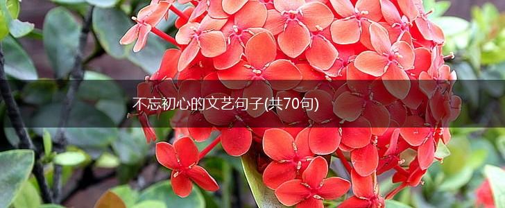 不忘初心的文艺句子(共70句),第1张
