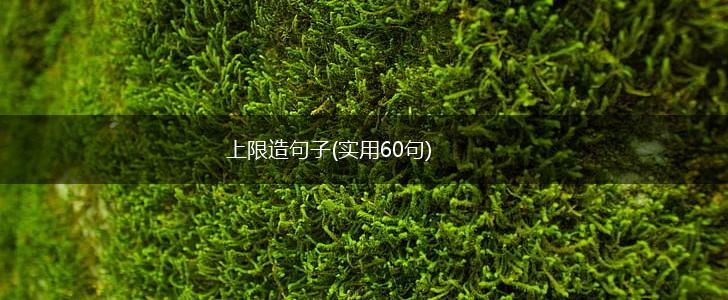 上限造句子(实用60句),第1张