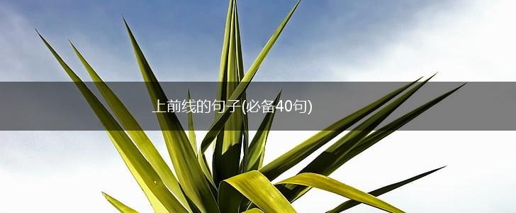 上前线的句子(必备40句),第1张