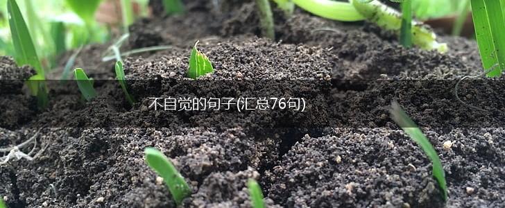 不自觉的句子(汇总76句),第1张