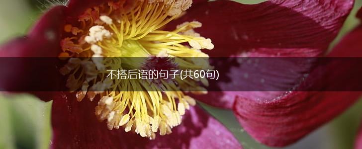 不搭后语的句子(共60句),第1张