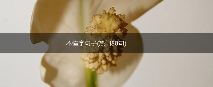 不懂字句子(热门80句),第1张