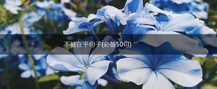 不被在乎句子(必备50句),第1张