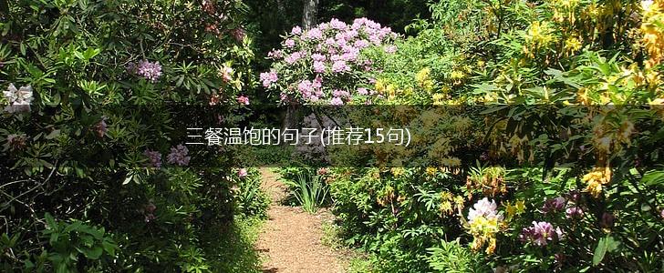 三餐温饱的句子(推荐15句),第1张