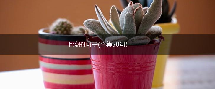 上流的句子(合集50句),第1张