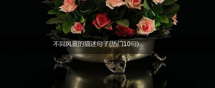 不同风景的描述句子(热门10句),第1张