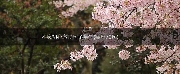 不忘初心激励句子学生(实用70句),第1张