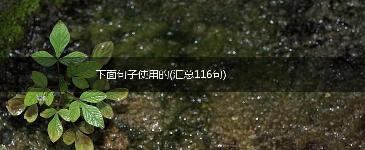 下面句子使用的(汇总116句),第1张