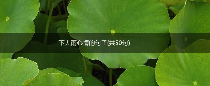 下大雨心情的句子(共50句),第1张