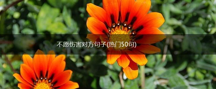 不愿伤害对方句子(热门50句),第1张