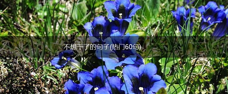 不想干了的句子(热门60句),第1张