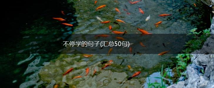 不停学的句子(汇总50句),第1张