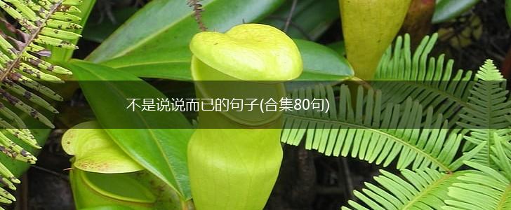 不是说说而已的句子(合集80句),第1张