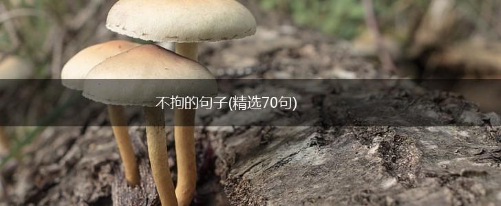 不拘的句子(精选70句),第1张