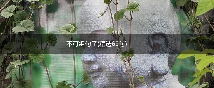 不可组句子(精选69句),第1张