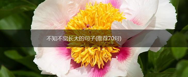 不知不觉长大的句子(推荐70句),第1张