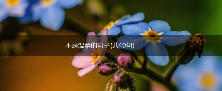 不是温柔的句子(共40句),第1张