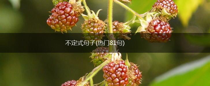 不定式句子(热门81句),第1张