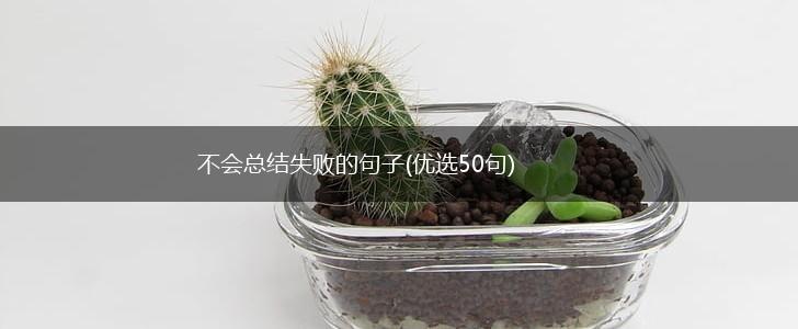 不会总结失败的句子(优选50句),第1张