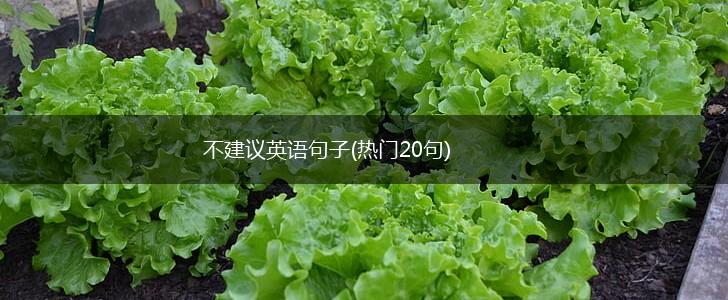 不建议英语句子(热门20句),第1张