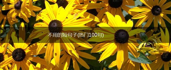 不用的短句子(热门100句),第1张