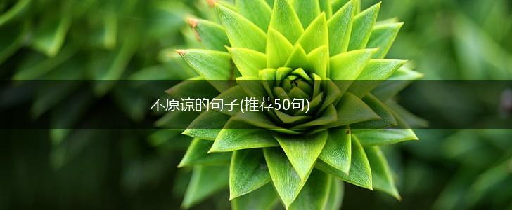 不原谅的句子(推荐50句),第1张