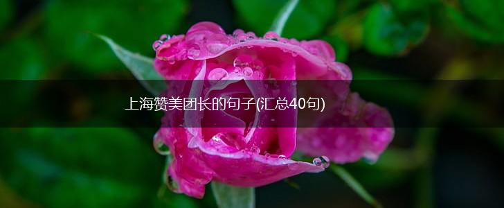 上海赞美团长的句子(汇总40句),第1张