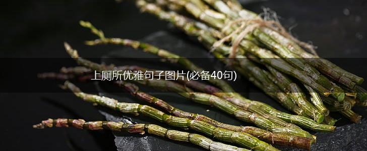上厕所优雅句子图片(必备40句),第1张