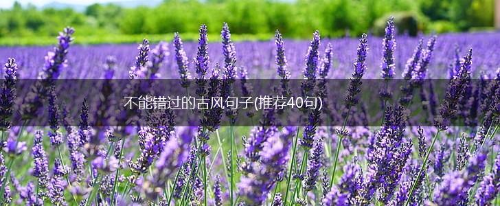 不能错过的古风句子(推荐40句),第1张
