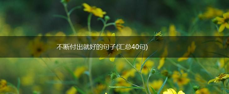 不断付出就好的句子(汇总40句),第1张