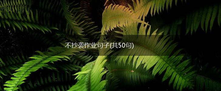 不抄袭作业句子(共50句),第1张