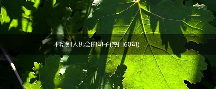 不给别人机会的句子(热门60句),第1张