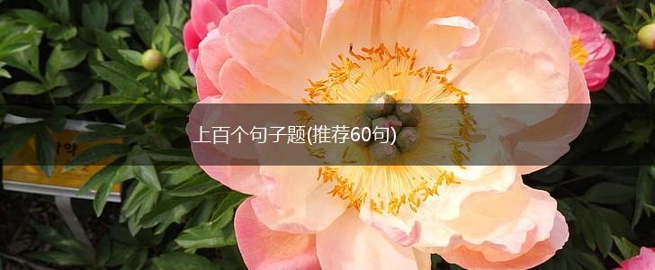 上百个句子题(推荐60句),第1张
