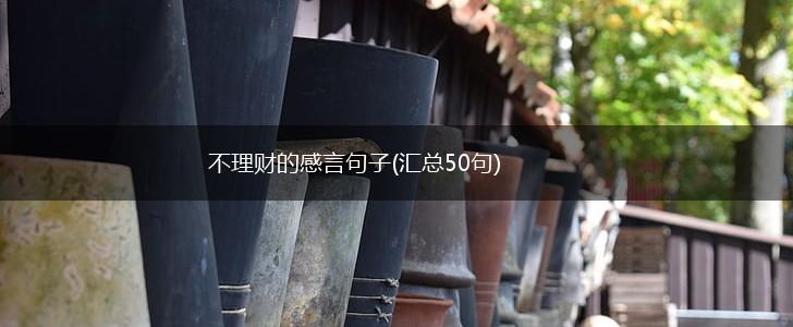 不理财的感言句子(汇总50句),第1张
