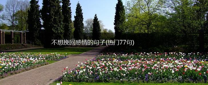 不想挽回感情的句子(热门77句),第1张