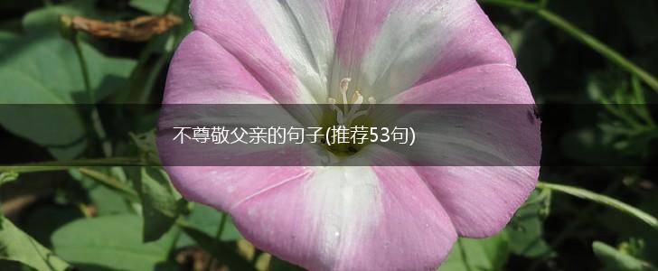 不尊敬父亲的句子(推荐53句),第1张