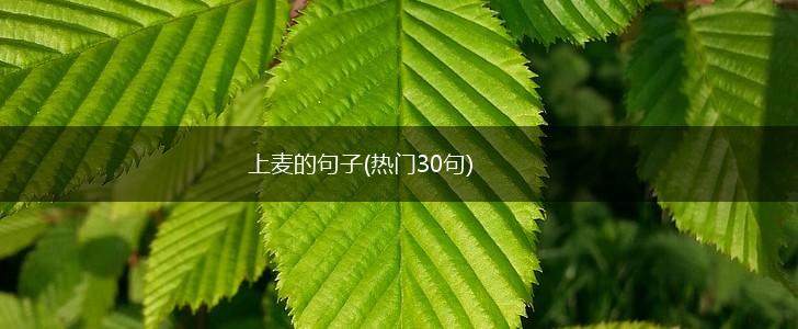 上麦的句子(热门30句),第1张
