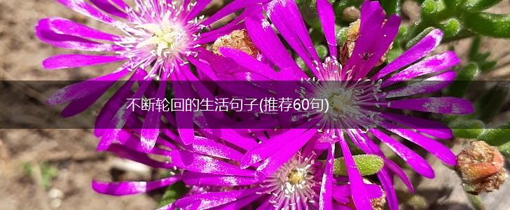 不断轮回的生活句子(推荐60句),第1张