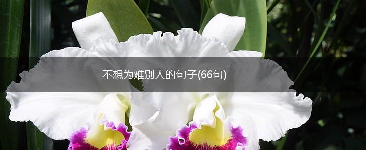 不想为难别人的句子(66句),第1张 不想为难别人的句子(66句),第1张